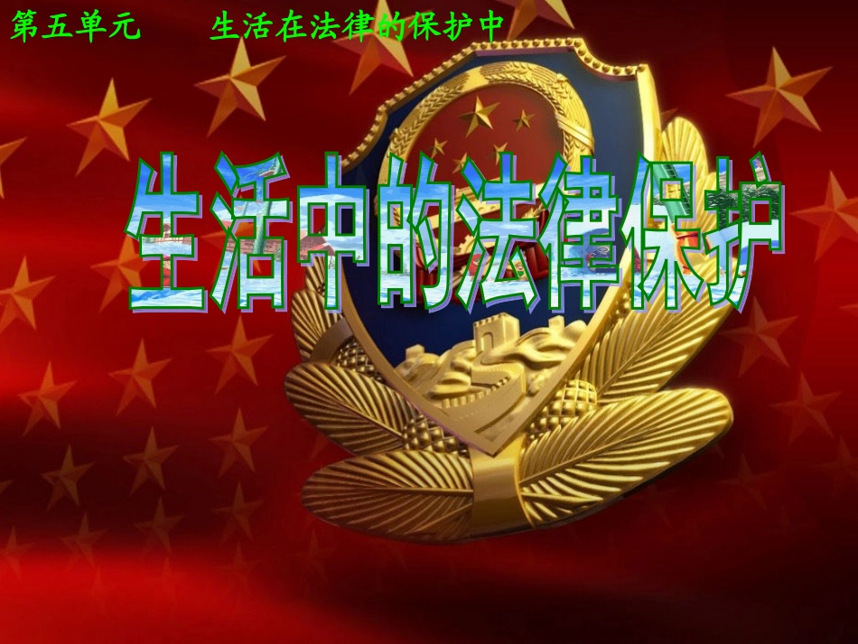 第一节_生活中的法律保护_第2页