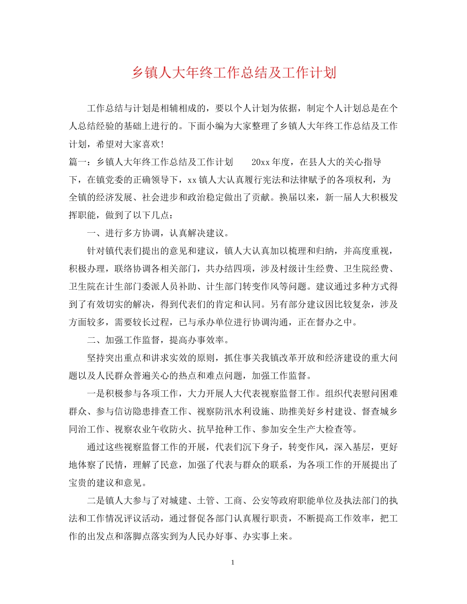 乡镇人大年终工作总结及工作计划_第1页