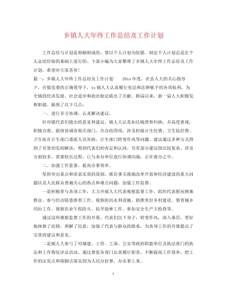 乡镇人大年终工作总结及工作计划