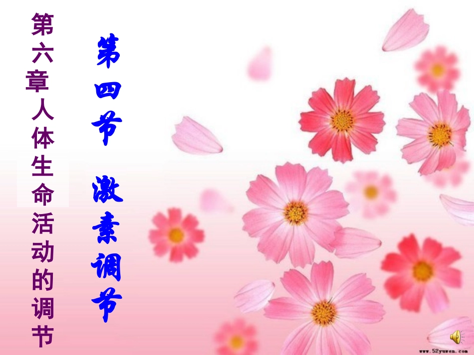 七下激素调节_第1页