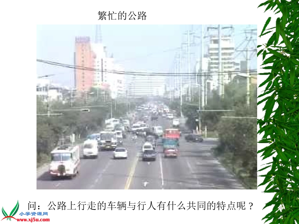 苏教版小学科学四年级下册《运动的快慢》课件_第3页