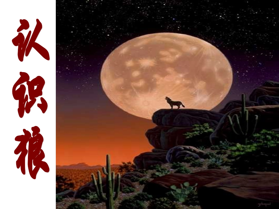 《狼》教学课件_第2页