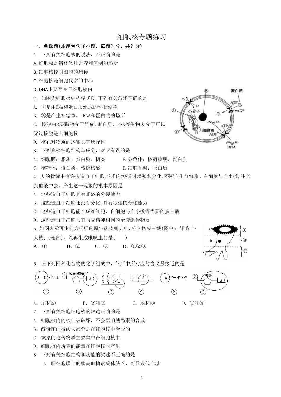 细胞核专题(2)_第1页