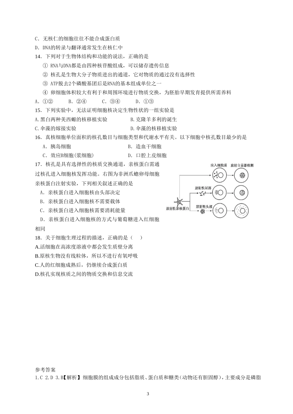 细胞核专题(2)_第3页