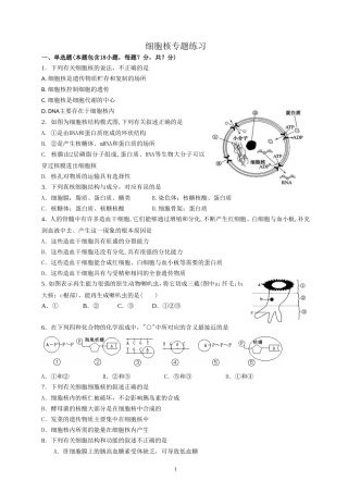 细胞核专题(2)
