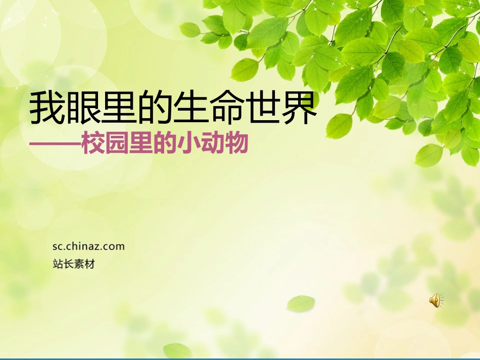 我眼中的精彩世界_第1页