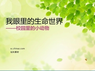 我眼中的精彩世界