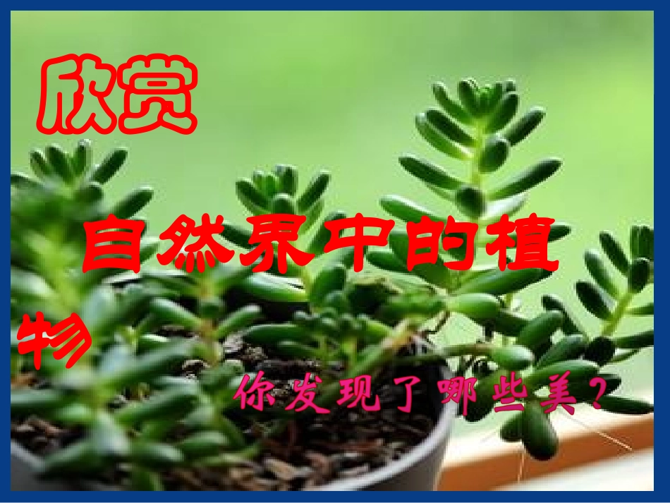 植物写生4年下【1】_第2页