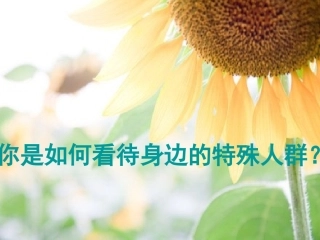 成成的理想世界