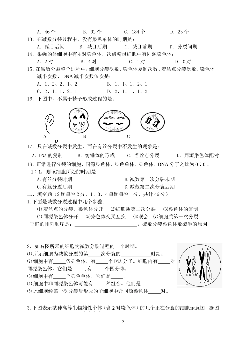 减数分裂基础周测_第2页
