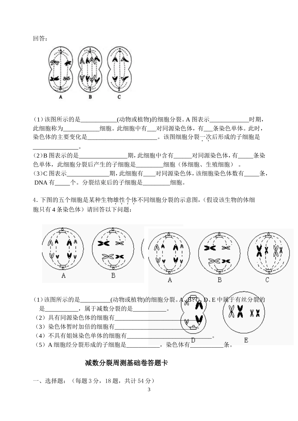 减数分裂基础周测_第3页
