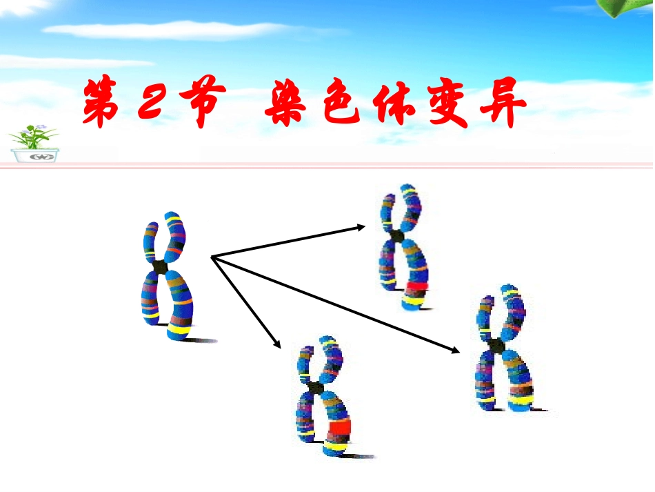 染色体变异课件_第1页