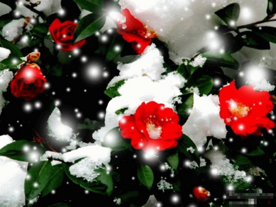 苏少版一年级美术下册01_雪-教学课件_第3页