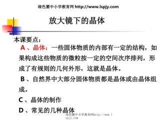 教科版六年级下册科学第一单元《第3课放大镜下的晶体PPT课件》
