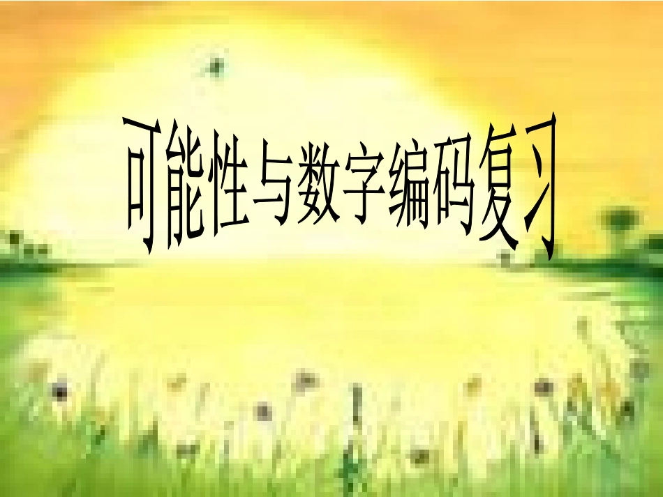 可能性与数字编码复习_第1页