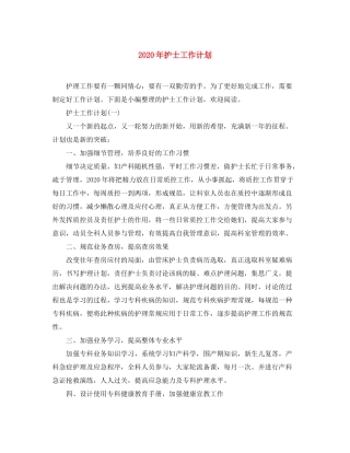 2020年护士工作计划
