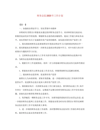 财务总监年工作计划