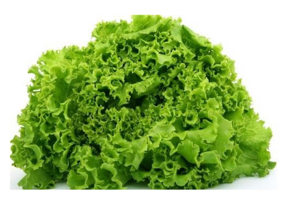 小班科学认识蔬菜_第2页