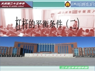 杠杆的平衡条件2