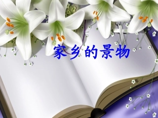 三年级语文园地一习作《家乡的景物》