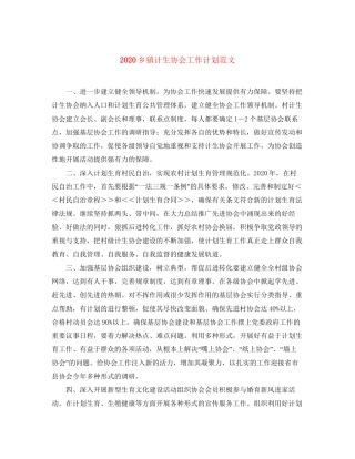 乡镇计生协会工作计划范文
