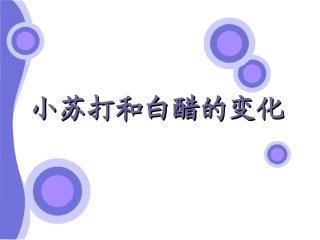 小苏打和白醋的变化PPT