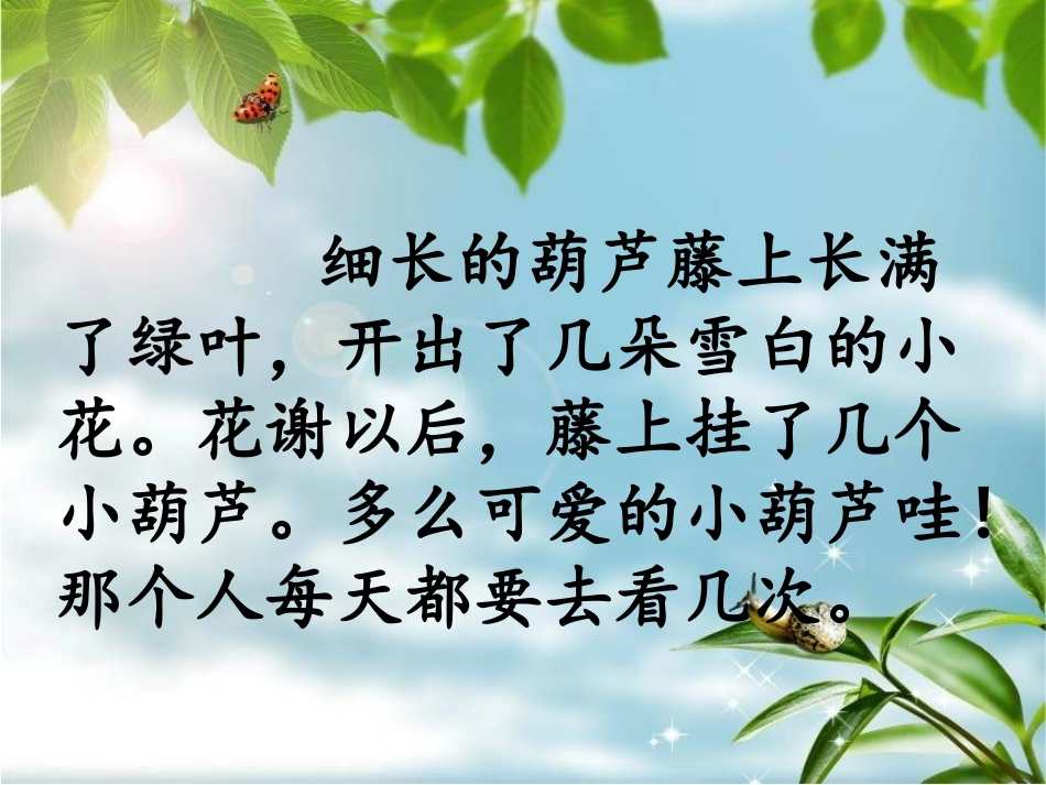 我要的是葫芦2_第3页