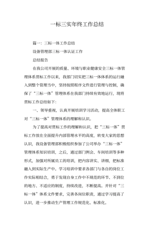 一标三实年终工作总结工作范文