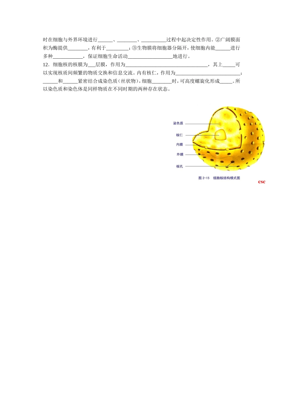 细胞的基本结构复习导学案_第2页