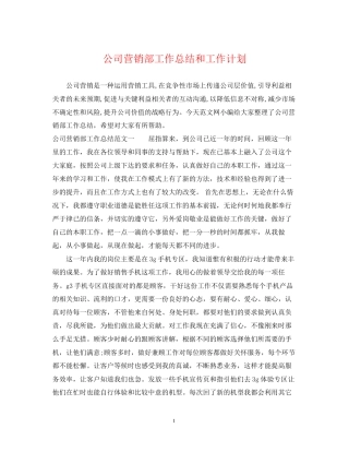 公司营销部工作总结和工作计划