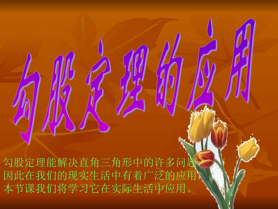 勾股定理的应用1_第1页