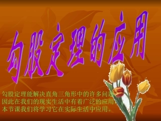 勾股定理的应用1