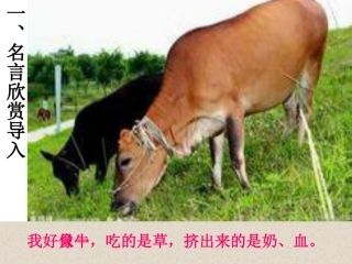 《有的人》课件