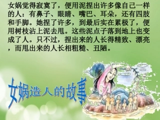 生物的进化历程