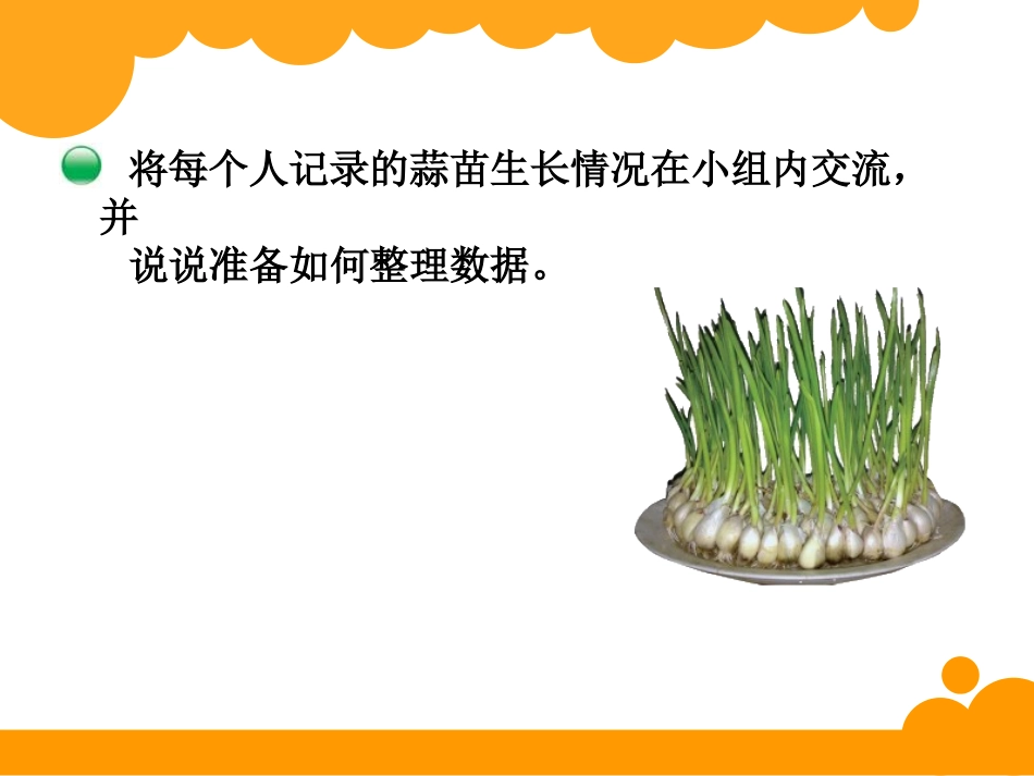 四年级下册第六单元数据的表示和分析栽蒜苗（一）_第2页
