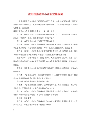 沈阳市促进中小企业发展条例 