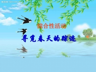 寻觅春天的踪迹2
