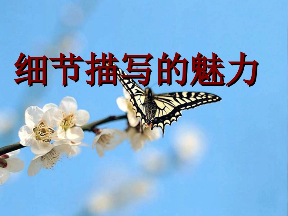 细节描写的魅力课件_第1页