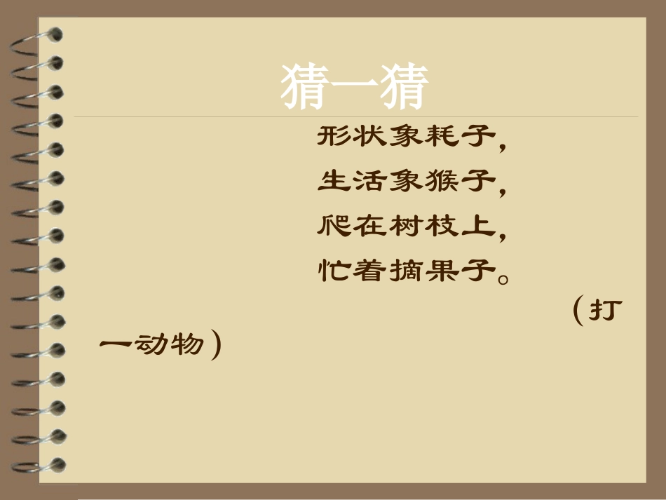 苏教版《松鼠》课件_第1页