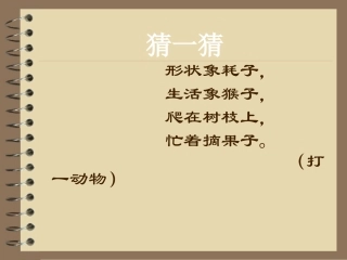 苏教版《松鼠》课件