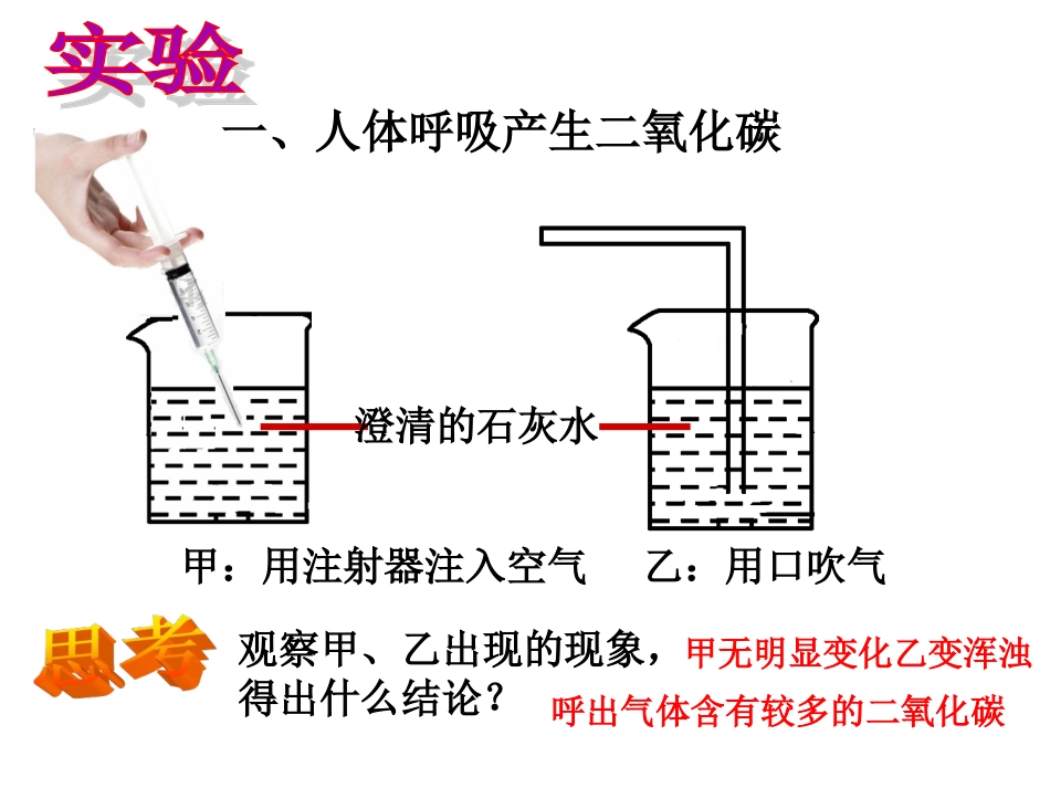 苏教版七年级下册第十章第四节人体内的气体交换课件4_第3页