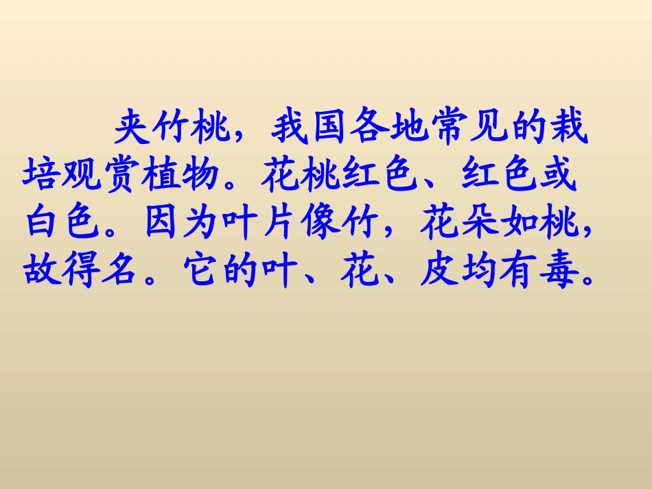 《夹竹桃》教学课件（简要参考）_第3页