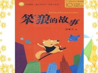 《笨狼的故事》读书交流
