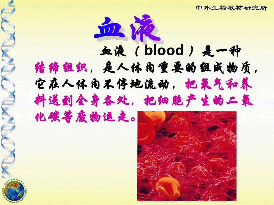 血液和血型（一）课件_第3页
