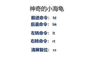 神奇的小海龟