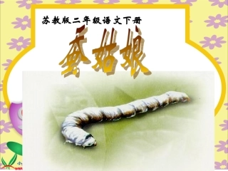 《蚕姑娘》PPT