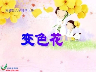 苏教版小学科学六年级上册《变色花》课件1