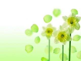 清爽绿色小花背景精美PPT模板