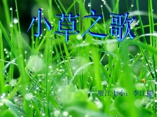 第10次修改小草