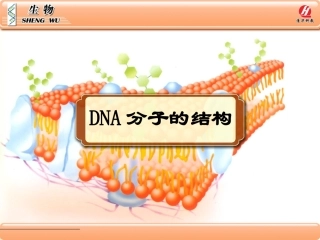 生物②必修32《DNA分子的结构》PPT课件